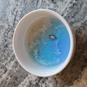 Coastal Trinket/condiment dish made‎ with food grade resin